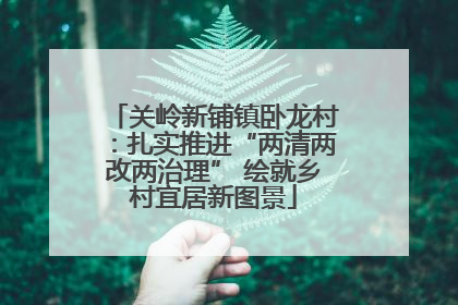 关岭新铺镇卧龙村：扎实推进“两清两改两治理” 绘就乡村宜居新图景