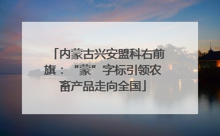 内蒙古兴安盟科右前旗：“蒙”字标引领农畜产品走向全国