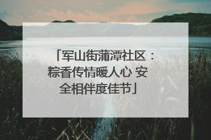军山街蒲潭社区：粽香传情暖人心 安全相伴度佳节