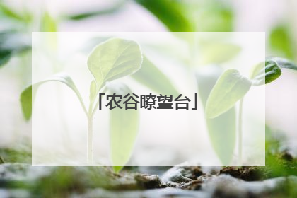 农谷瞭望台