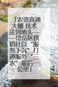 农资直通大棚 技术送到地头——岱岳区供销社以“服务下沉”打通服务“三农”最后一公里