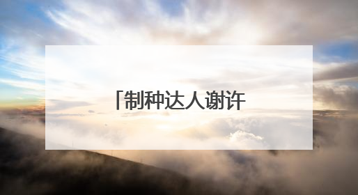 制种达人谢许平：“一粒种子”闯出致富路