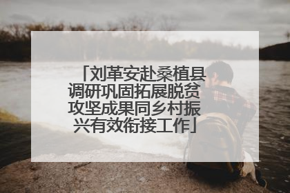 刘革安赴桑植县调研巩固拓展脱贫攻坚成果同乡村振兴有效衔接工作