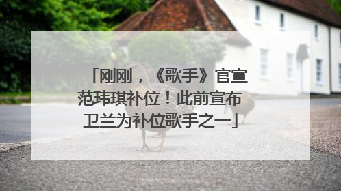 刚刚，《歌手》官宣范玮琪补位！此前宣布卫兰为补位歌手之一