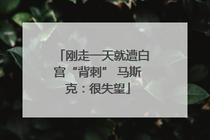 刚走一天就遭白宫“背刺” 马斯克：很失望