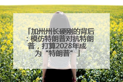 加州州长硬刚的背后：模仿特朗普对抗特朗普，打算2028年成为“特朗普”