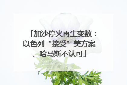 加沙停火再生变数：以色列“接受”美方案、哈马斯不认可