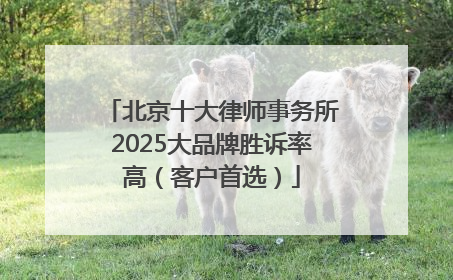 北京十大律师事务所2025大品牌胜诉率高（客户首选）