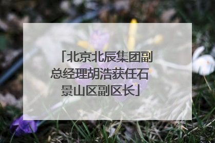 北京北辰集团副总经理胡浩获任石景山区副区长