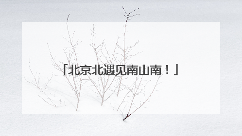 北京北遇见南山南！