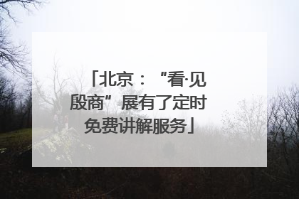 北京：“看·见殷商”展有了定时免费讲解服务