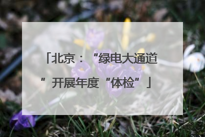北京：“绿电大通道”开展年度“体检”