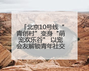 北京10号线“青创村”变身“萌宠欢乐谷” 以宠会友解锁青年社交新范式
