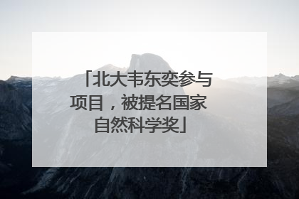 北大韦东奕参与项目，被提名国家自然科学奖