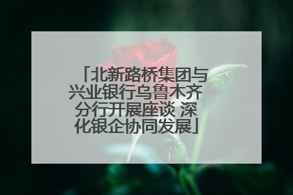 北新路桥集团与兴业银行乌鲁木齐分行开展座谈 深化银企协同发展