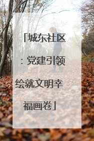 城东社区：党建引领绘就文明幸福画卷