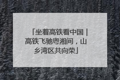 坐着高铁看中国｜高铁飞驰粤湘间，山乡湾区共向荣