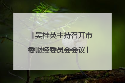 吴桂英主持召开市委财经委员会会议