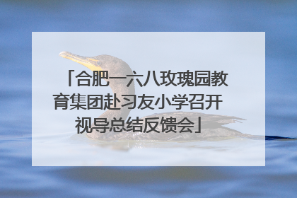 合肥一六八玫瑰园教育集团赴习友小学召开视导总结反馈会
