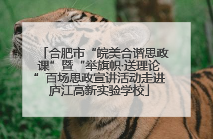 合肥市“皖美合谐思政课”暨“举旗帜·送理论”百场思政宣讲活动走进庐江高新实验学校