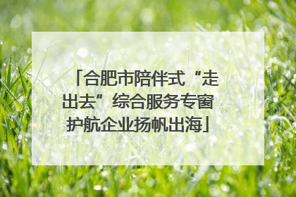 合肥市陪伴式“走出去”综合服务专窗护航企业扬帆出海