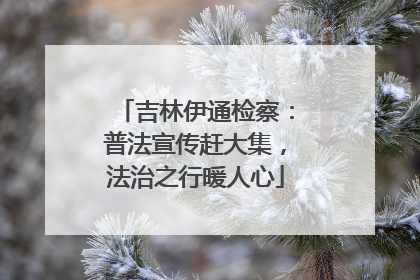 吉林伊通检察：普法宣传赶大集，法治之行暖人心