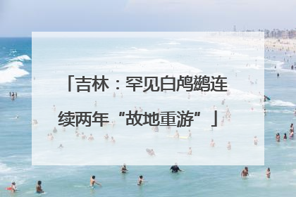 吉林：罕见白鸬鹚连续两年“故地重游”