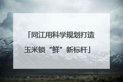 同江用科学规划打造玉米锁“鲜”新标杆