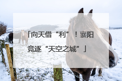 向天借“利”！襄阳竞逐“天空之城”