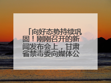 向好态势持续巩固！刚刚召开的新闻发布会上，甘肃省禁毒委向媒体公布三年禁毒工作“成绩单”