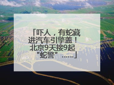 吓人，有蛇藏进汽车引擎盖！北京9天接9起“蛇警”……