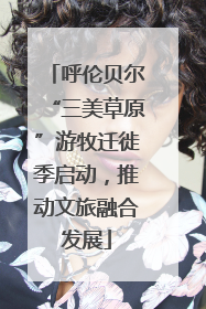 呼伦贝尔“三美草原”游牧迁徙季启动，推动文旅融合发展