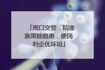 周口交警：精准施策除隐患，便民利企优环境