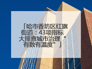 哈市香坊区红旗街道：43项指标大排查城市治理“有数有温度”