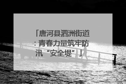 唐河县泗洲街道：青春力量筑牢防汛“安全堤”