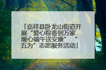 嘉祥县卧龙山街道开展“爱心粽香到万家 暖心端午送安康” “五为”志愿服务活动