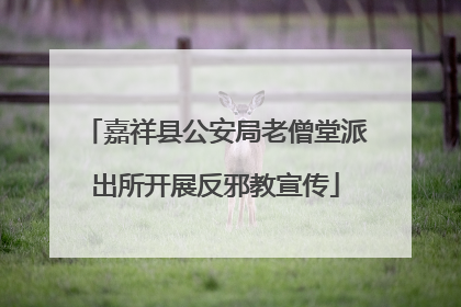 嘉祥县公安局老僧堂派出所开展反邪教宣传