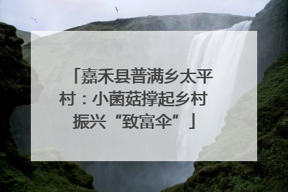 嘉禾县普满乡太平村：小菌菇撑起乡村振兴“致富伞”