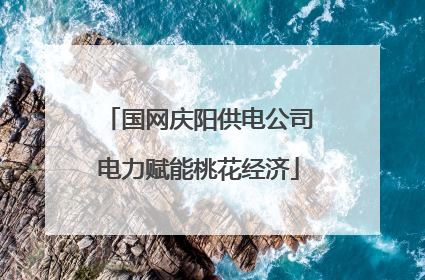 国网庆阳供电公司电力赋能桃花经济