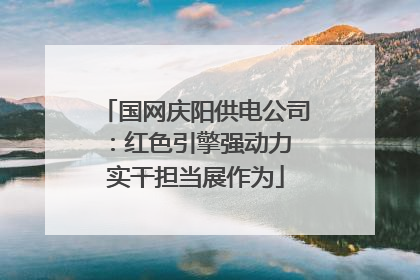 国网庆阳供电公司：红色引擎强动力 实干担当展作为