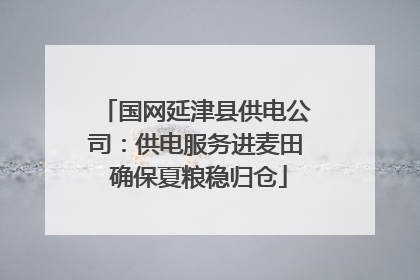 国网延津县供电公司：供电服务进麦田 确保夏粮稳归仓