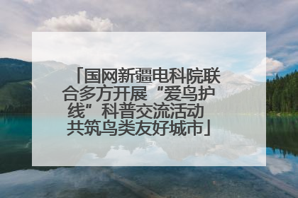 国网新疆电科院联合多方开展“爱鸟护线”科普交流活动 共筑鸟类友好城市