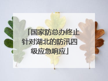 国家防总办终止针对湖北的防汛四级应急响应