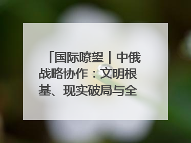 国际瞭望｜中俄战略协作：文明根基、现实破局与全球秩序重构