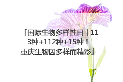 国际生物多样性日丨113种+112种+15种！重庆生物因多样而精彩