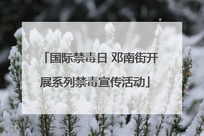 国际禁毒日 邓南街开展系列禁毒宣传活动