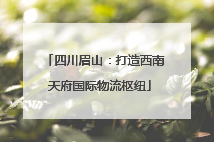 四川眉山：打造西南天府国际物流枢纽