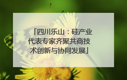 四川乐山：硅产业代表专家齐聚共商技术创新与协同发展