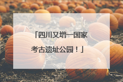 四川又增一国家考古遗址公园！