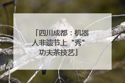 四川成都：机器人非遗节上“秀”功夫茶技艺